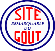 site remarquabledu gout